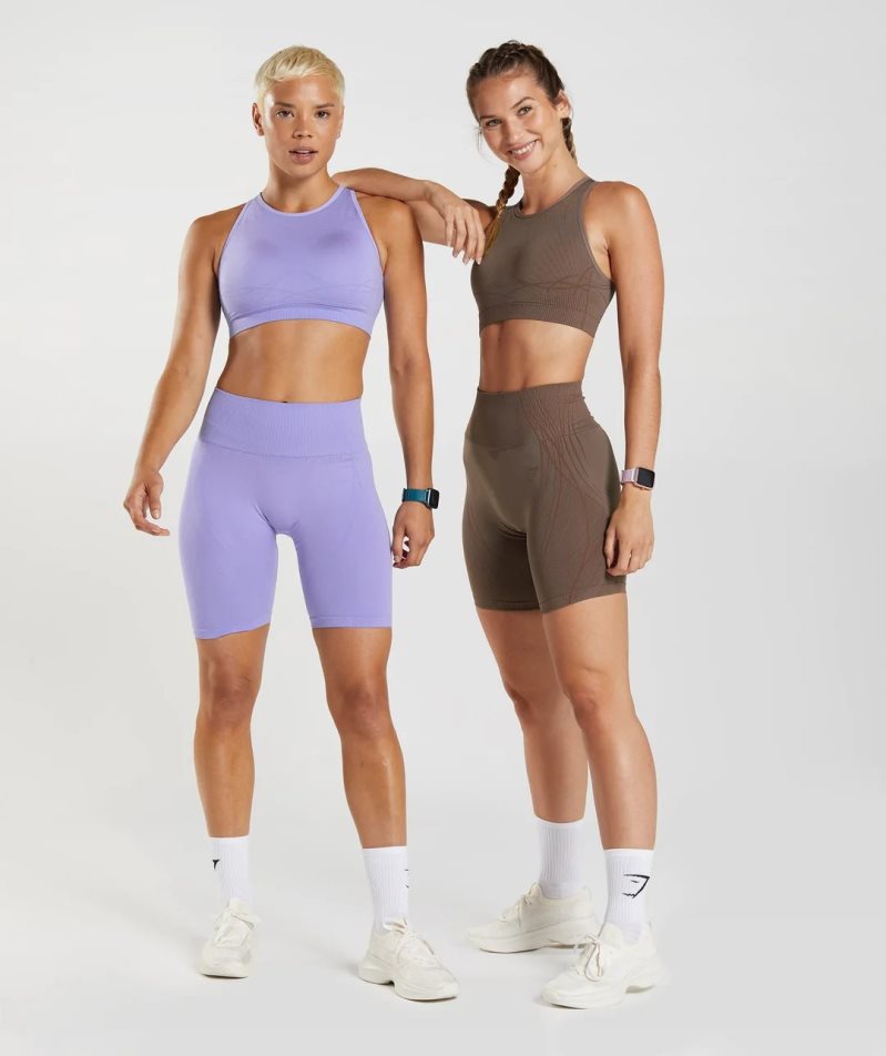 Women's Gymshark Apex Seamless Shorts Purple | NZ 7ZEPSW